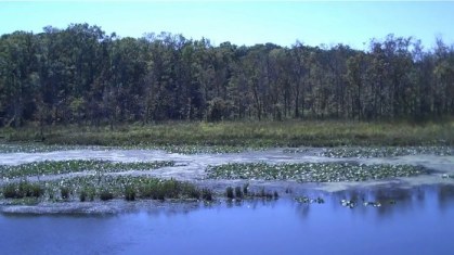 The development lobby's plan for a Cross-County Connector would destroy the Mattawoman Creek.